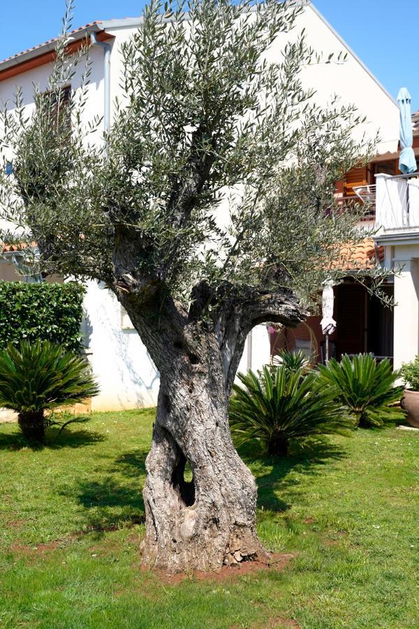 Appartamento Palm View Ii Rovigno